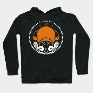 Aquarius zodiac sign Hoodie